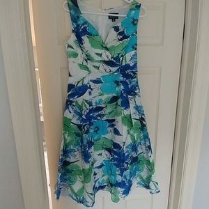 Knee length Adrianna Papell dress